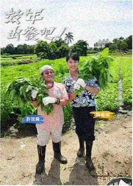 影视行业 新片资讯